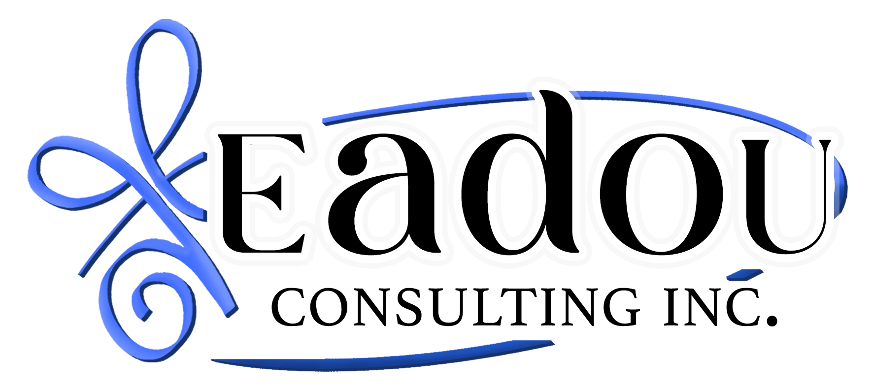 EADOU CONSULTING INC